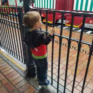 IMG_20180313_161302_333