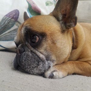 IMG_20180515_124547_857