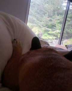 IMG_20180521_224938_892