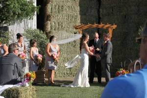 10672421_10101570422228125_50035244783810655_n